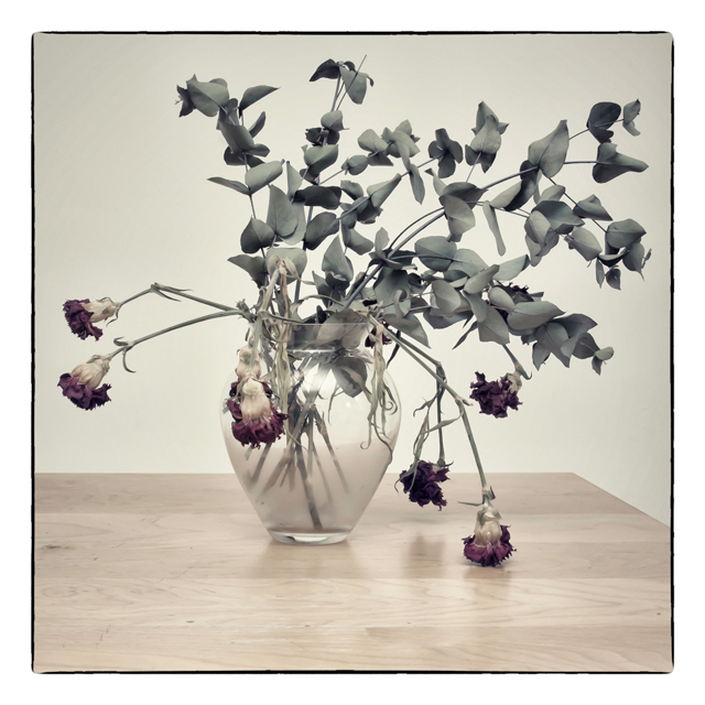 Flora_5